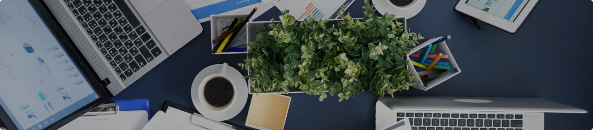 start learning ASEAN PHE